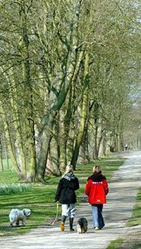 Walking in the park